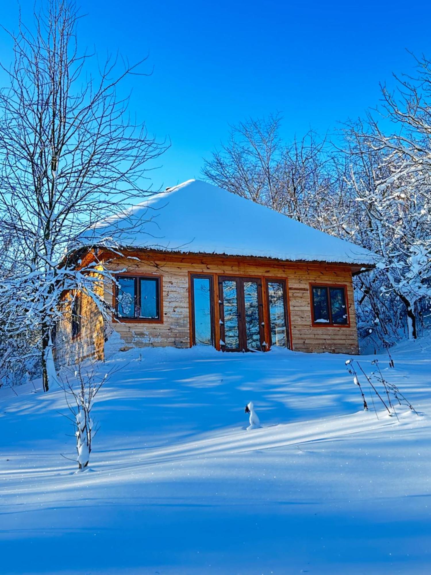 Козацька Фортеця Pliskachevka Extérieur photo